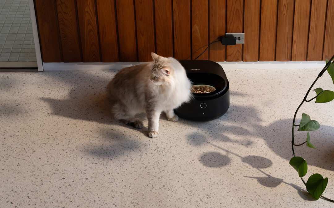 Petlibro Introduces Smart Wet Food Cat Feeder