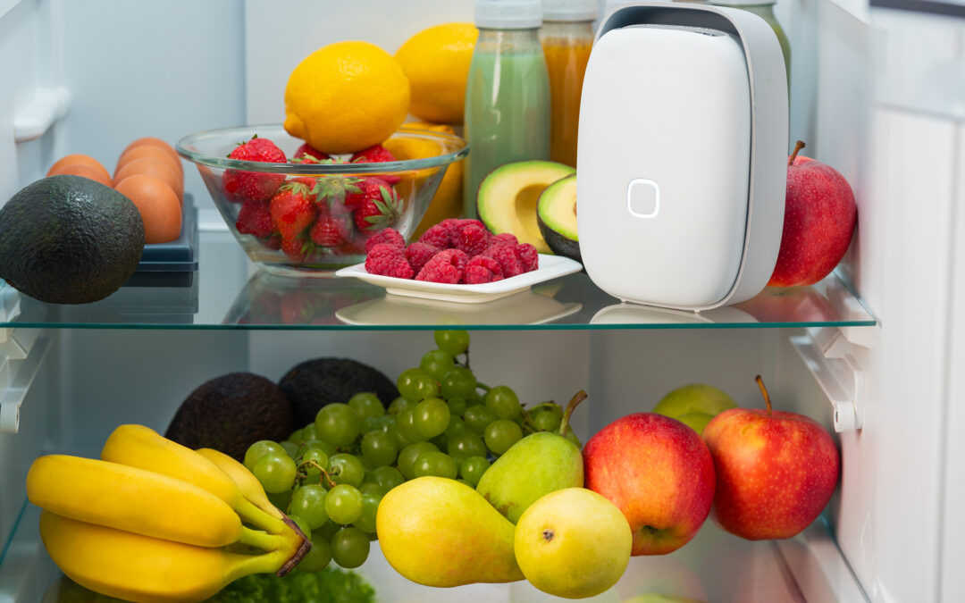 Shelfy Purifier Knocks Out Fridge Odors, Helps Preserve Food