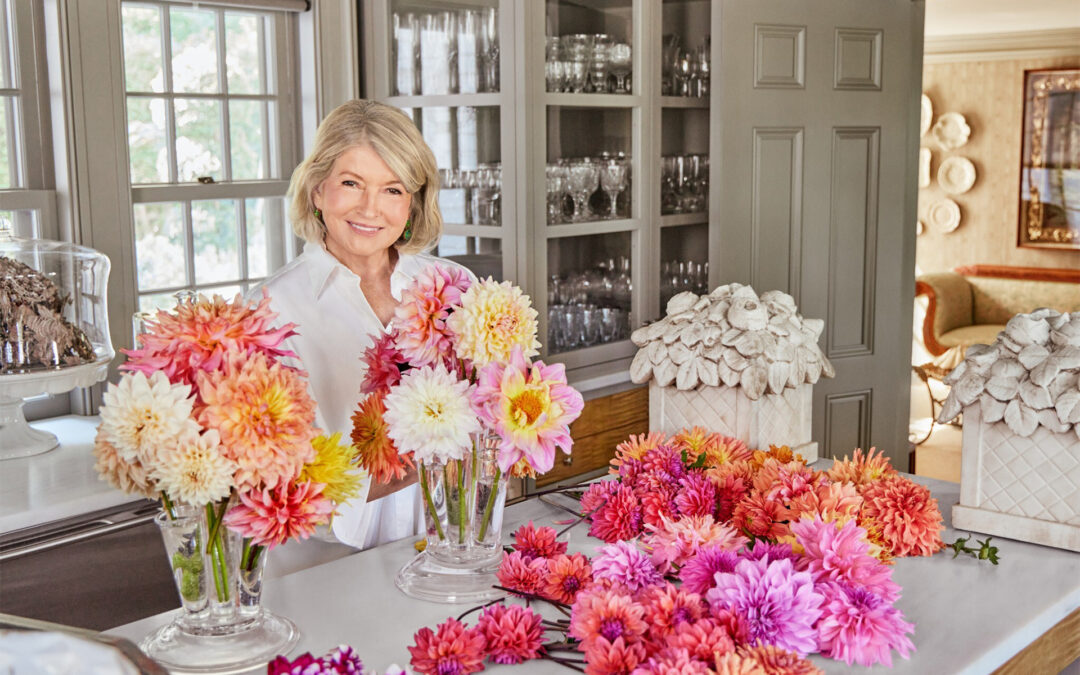 Martha Returns to QVC with Spring Cookware, Gardening, Food Collection